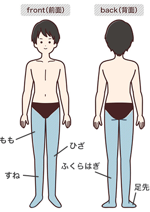 施術範囲（もも、すね、ひざ、ふくらはぎ、足先）
