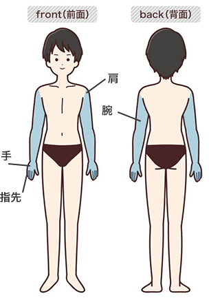 施術範囲(もも、すね、ひざ、ふくらはぎ、足先)