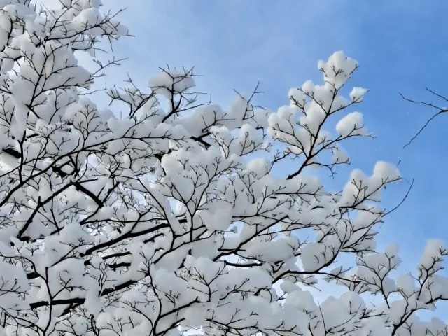 脱毛を冬に始める神奈川県で美肌と効果を最大化するコツ