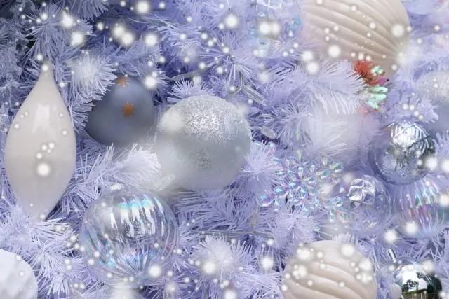 脱毛を冬に神奈川県厚木市で始めて夏までに仕上げる効率的なポイント