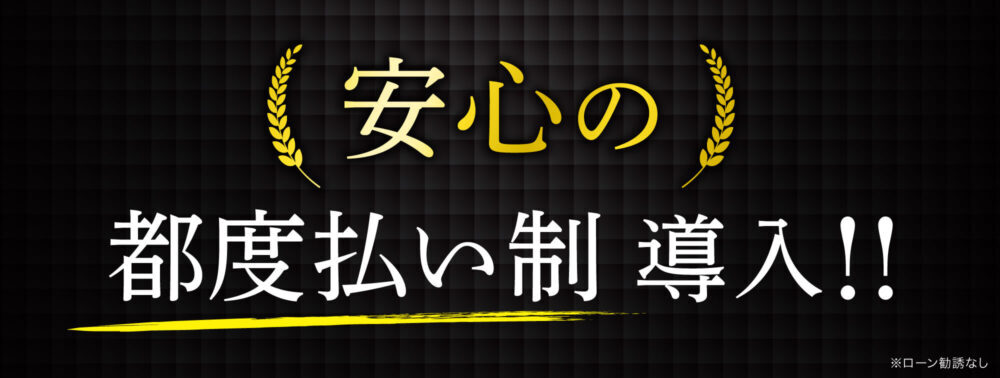 安心の都度払い制導入！！